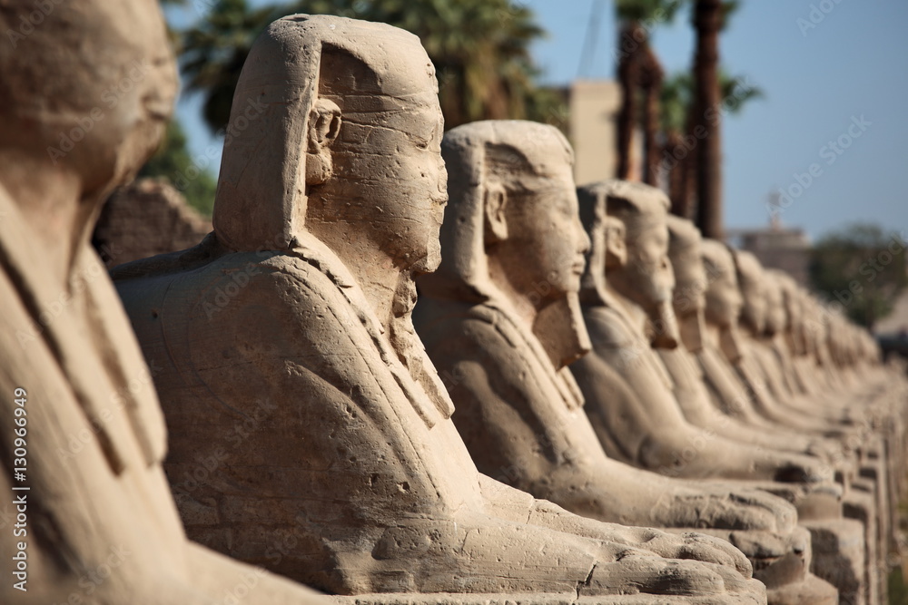 Row of ancient sphinxes at Luxor temple in Egypt